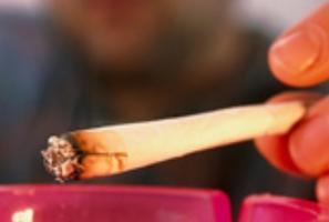 Dans cette étude, environ 20% des participants consommaient du cannabis et fumaient