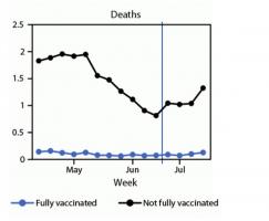 L'étude suggère une baisse possible de la protection vaccinale contre l'infection confirmée par le SRAS-CoV-2 mais une protection toujours solide contre les formes sévères de COVID-19 (et donc le risque d’hospitalisation et décès associés) (Visuel MMWR). 