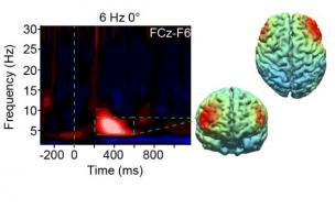 Il devient possible, par stimulation cérébrale, d’améliorer la fonction exécutive, de limiter les erreurs et d’accroître la performance cognitive sur une tâche donnée