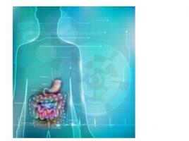 Une technique qui utilise des cellules autologues modifiées pour traiter la maladie de Crohn se révèle ici efficace avec cette recherche menée in vitro 