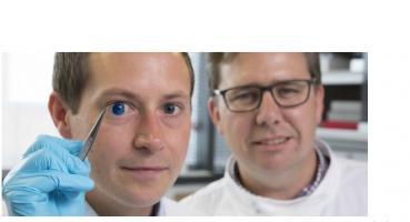C’est un exploit d’une équipe de l’Université de Newcastle qui « imprime » ces premières cornées humaines en 3D et suggère que la technique pourrait être utilisée à l'avenir pour assurer un approvisionnement illimité de cornées.
