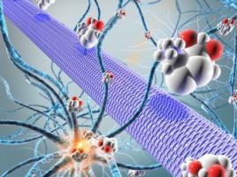 Le cannabidiol modifie en fait le taux sanguin des antiépileptiques couramment utilisés