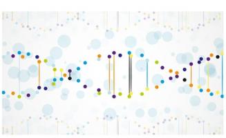 On les appelle les mutations en mosaïque car elles ne sont identifiées que dans une partie des cellules du patient.