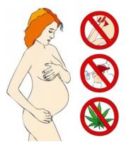L'exposition prénatale du cannabis est associée à une augmentation de 50% du risque de faible poids de naissance