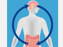 Un lien intestin-cerveau jusque-là inconnu contribue à expliquer comment des portions supplémentaires conduisent à une prise de poids.