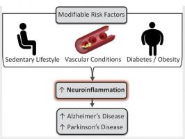 L'épidémie de maladies neurodégénératives pourrait être mieux contrôlée par la pratique généralisée, même à l’âge avancé, d’un exercice physique régulier et adapté.