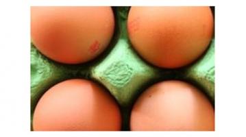 Les œufs restent l’un des aliments les plus controversés : une forte consommation d'œufs a toujours été déconseillée en raison de leur forte teneur en cholestérol. 