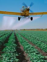 L’exposition prénatale aux pesticides, en particulier en milieu rural et agricole est associée à un risque accru d’autisme et autres troubles neurologiques, mais l'acide folique pendant la grossesse pourrait contrer ce risque.