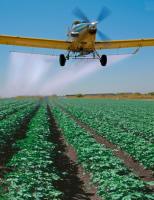 L’exposition prénatale aux pesticides, en particulier en milieu rural et agricole est associée à un risque accru d’autisme et autres troubles neurologiques, mais l'acide folique pendant la grossesse pourrait contrer ce risque.