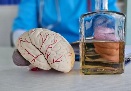 8 verres ou plus d'alcool par semaine finissent par entraîner une artériolosclérose hyaline et des lésions cérébrales (Visuel Adobe Stock 1321598422)