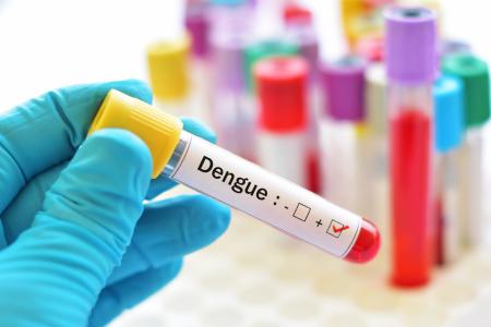 Cet essai clinique, mené par les scientifiques du National Institute of Allergy and Infectious Diseases (NAID/NIH) évaluera un traitement expérimental contre la dengue, un anticorps monoclonal humain expérimental censé atténuer les symptômes cliniques (Visuel Adobe Stock 175978895)