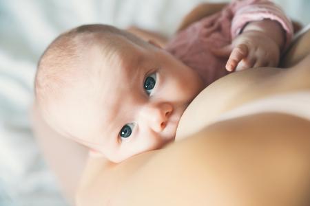 Ces associations observées sont significatives pour tout type d’allaitement, exclusif et mixte pratiqué au moins 12 mois (Visuel Adobe Stock 178884485)