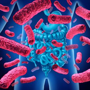 Cibler le microbiote intestinal pourrait constituer un moyen efficace de s'attaquer à la modification de l'axe intestin-cerveau 