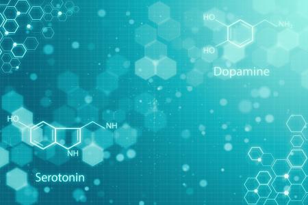 En décryptant le processus cérébral qui régule l’activité des neurones producteurs de sérotonine, un neurotransmetteur qui peut supprimer la prise alimentaire, cette étude ouvre de nouvelles voies thérapeutiques contre l’obésité (Visuel Adobe Stock 209440466)