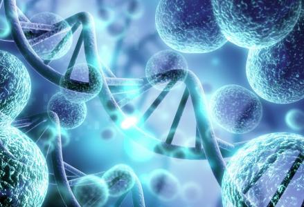 « Jusque-là, on pensait que les petites biomolécules comme le glucose étaient plutôt passives dans la cellule » (Visuel Adobe Stock 235711378)