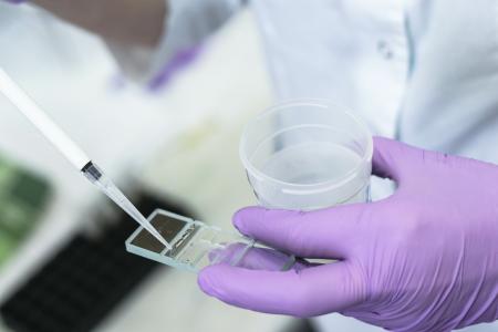 Cette large analyse alerte sur l’association entre l’exposition aux insecticides et une concentration plus faible des spermatozoïdes chez les hommes adultes (Visuel Adobe Stock 251608643) Cette large analyse alerte sur l’association entre l’exposition aux insecticides et une concentration plus faible des spermatozoïdes chez les hommes adultes (Visuel Adobe Stock 251608643)