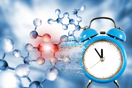 L'alimentation limitée dans le temps remodèle de manière bénéfique l'expression des gènes dans tout le corps (Visuel Adobe Stock 308086464)