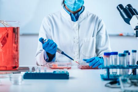 Ces surfaces nanostructurées d'alumine constituent une étape importante pour la médecine régénérative (Visuel Adobe Stock 366691797).
