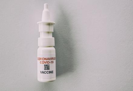 Une protection antivirale précoce dans le nez, via un vaccin nasal, pourrait aider mieux contrer les infections liées aux nouvelles variantes virales (Visuel Adobe Stock 446194296)