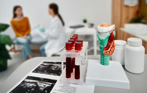 La lévothyroxine, l’un des médicaments les plus couramment prescrit chez les personnes âgées pourrait être associée à une perte osseuse (Visuel Adobe Stock 475082399)