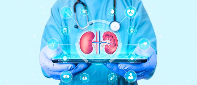 Cette classe de médicaments contre le diabète, les inhibiteurs du SGLT2 apparaissent liés à une réduction du risque de calculs rénaux (Visuel Adobe Stock 586776962)