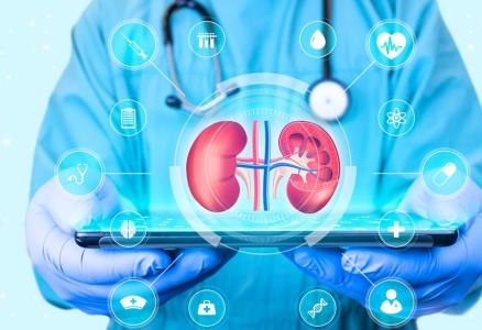 Ce nouveau test urinaire pourrait permettre de réduire de moitié les scanners postopératoires pour le cancer du rein (Visuel Adobe Stock 586776962)