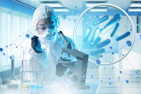 C’est bien la découverte de bactéries qui œuvrent contre la prise de poids et pourraient donc constituer la base de futurs traitements contre l’obésité (Visuel Adobe stock 588038397)