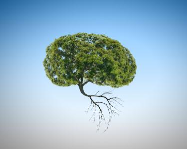 L'étude décrypte comment la pollution de l'air favorise l'inflammation du cerveau, accélère le déclin cognitif et augmente finalement le risque de démence (Visuel Adobe Stock 76195834)
