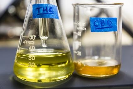 L’idée est d’utiliser le cannabinoïde non psychoactif et non addictif du cannabis, le cannabidiol (CBD) pour réduire certaines dépendances