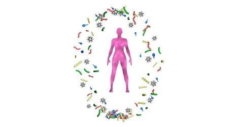 Cette découverte de communautés spécifiques au cancer dans le microbiome du sein ouvre une nouvelle perspective dans la lutte contre le cancer du sein