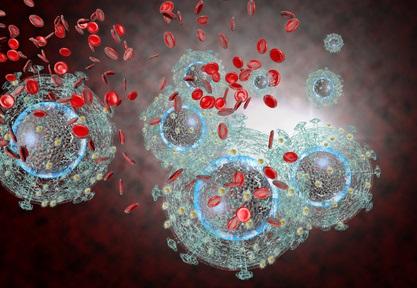 Le VIH se cache dans des cellules spécifiques du système immunitaire, les cellules T CD4, qui hébergent le virus et forment des réservoirs viraux dans divers tissus périphériques, en particulier dans le tractus gastro-intestinal. Le VIH se cache dans des cellules spécifiques du système immunitaire, les cellules T CD4, qui hébergent le virus et forment des réservoirs viraux dans divers tissus périphériques, en particulier dans le tractus gastro-intestinal.
