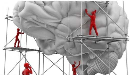 Les ISRS augmentent l'accès des cellules nerveuses à la sérotonine, un neurotransmetteur qui aide le cerveau à réguler certaines émotions.