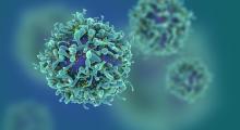 Booster ce processus de « ferroptose » dans les cellules tumorales permettrait de renforcer l'efficacité de l'immunothérapie (Visuel adobe Stock 112622103)