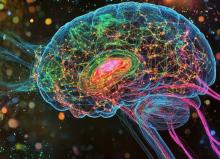 Cette étude révèle comment les voies neuronales intègrent le traitement rapide et/ou lent de l'information (Visuel Adobe Stock 1129343061). Cette étude révèle comment les voies neuronales intègrent le traitement rapide et/ou lent de l'information (Visuel Adobe Stock 1129343061).