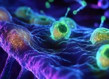 Le muscle âgé ou « sarcopénique » sécrète moins de vésicules extracellulaires contenant un microARN suppresseur de tumeurs (Visuel Adobe Stock 1218641057) Le muscle âgé ou « sarcopénique » sécrète moins de vésicules extracellulaires contenant un microARN suppresseur de tumeurs (Visuel Adobe Stock 1218641057)