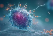 Des macrophages d'un type spécifique agissent un peu comme des neurones pour déclencher directement le processus de guérison (Visuel Adobe Stock 1602322964) Des macrophages d'un type spécifique agissent un peu comme des neurones pour déclencher directement le processus de guérison (Visuel Adobe Stock 1602322964)