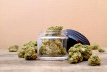 A la découverte d'un nouveau cannabinoïde étonnant (Visuel Adobe Stock 203265022)