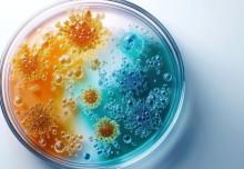 Un composant jusqu'ici inconnu vient d’être identifié comme essentiel à la formation des biofilms (Visuel Adobe Stock 2095211994)