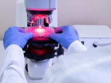 Le biofilm est une cible prioritaire dans la lutte contre la résistance aux antimicrobiens (RAM) (Visuel Adobe Stock 444341316)