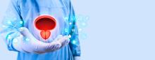 Ces travaux ont permis d'identifier un facteur qui pilote les gènes responsables du cancer de la prostate (Visuel Adobe Stock 582325872)