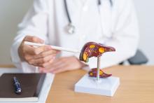 Cette combinaison de 2 médicaments existants se confirme comme bien plus efficace que chaque agent de monothérapie et ouvre la perspective d’une nouvelle thérapie antifibrotique (Visuel Adobe Stock 610518865) Cette combinaison de 2 médicaments existants se confirme comme bien plus efficace que chaque agent de monothérapie et ouvre la perspective d’une nouvelle thérapie antifibrotique (Visuel Adobe Stock 610518865)