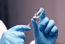 Une dose nasale unique d’un adjuvant vaccinal, le K3-SPG, stimule l’immunité innée et protège contre la grippe et le SARS-CoV-2 pendant plusieurs semaines (Visuel Adobe Stock 618182265) Une dose nasale unique d’un adjuvant vaccinal, le K3-SPG, stimule l’immunité innée et protège contre la grippe et le SARS-CoV-2 pendant plusieurs semaines (Visuel Adobe Stock 618182265)
