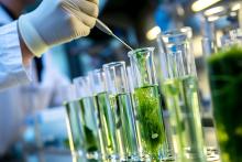 C’est une nouvelle percée dans le domaine des hydrogels à base de lignine pour la cicatrisation des plaies et la libération contrôlée de médicaments (Visuel Adobe Stock 753744184)