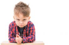 L'agression/agressivité est un comportement qui se retrouve chez l’ensemble des animaux et « qui façonne les vies humaines depuis les premières rencontres dans les cours d'école jusqu'à l'expression la plus extrême d'un conflit armé et mondial »