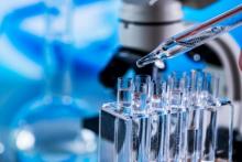 Au cœur de ce process de rajeinissement cellulaire, on retrouve un dérivé du resvératrol, cet antioxydant déjà très documenté pour ses effets anti-âge