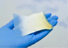Ce matériau, modifié avec une mince couche de « composition antibactérienne » et des composants plasmatiques du sang humain est présenté comme le premier pansement « vivant » adapté au soin des brûlures. Ce matériau, modifié avec une mince couche de « composition antibactérienne » et des composants plasmatiques du sang humain est présenté comme le premier pansement « vivant » adapté au soin des brûlures.