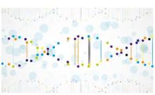 On les appelle les mutations en mosaïque car elles ne sont identifiées que dans une partie des cellules du patient.