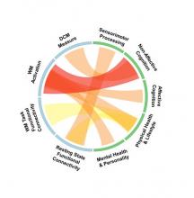 La mémoire travail est caractérisée par la capacité de stocker et de traiter l'information pertinente lors d’une tâche à accomplir. La mémoire travail est caractérisée par la capacité de stocker et de traiter l'information pertinente lors d’une tâche à accomplir.