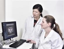 L'hippocampe, cette zone du cerveau communément associée à la mémoire -et à la démence- pourrait également héberger les « sources » de l'anxiété et de la dépression ou encore de la toxicomanie L'hippocampe, cette zone du cerveau communément associée à la mémoire -et à la démence- pourrait également héberger les « sources » de l'anxiété et de la dépression ou encore de la toxicomanie