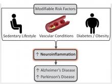 L'épidémie de maladies neurodégénératives pourrait être mieux contrôlée par la pratique généralisée, même à l’âge avancé, d’un exercice physique régulier et adapté.